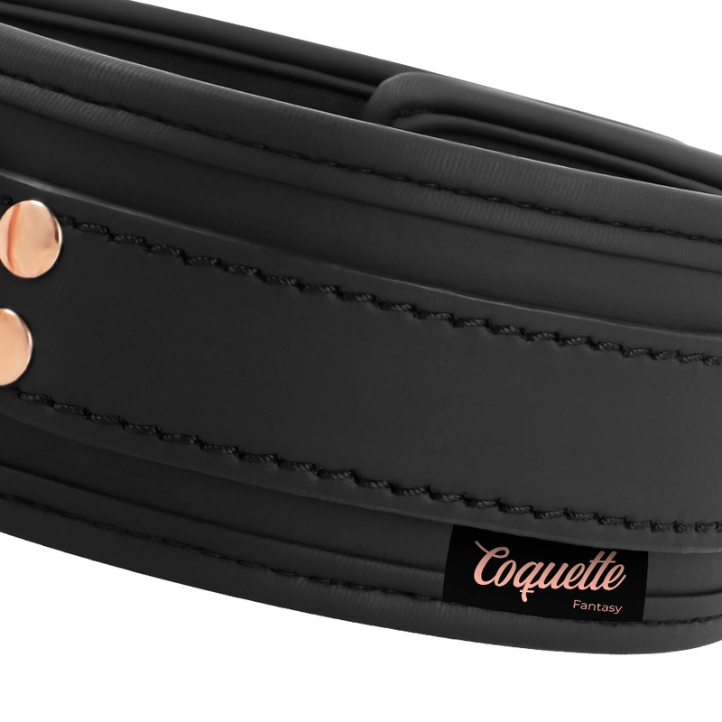 COQUETTE CHIC DESIRE — Fantasy collar cuero vegano con correa y forro de neopreno